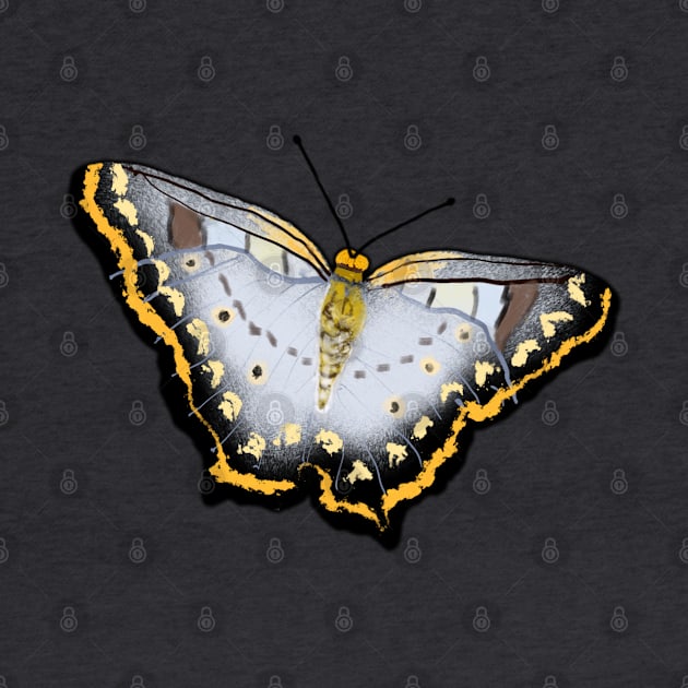 Black and Gold Butterfly by designs-by-ann